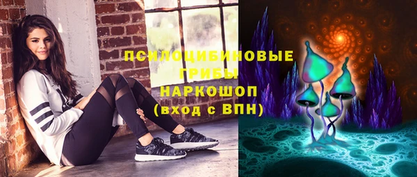 PSILOCYBIN Семикаракорск