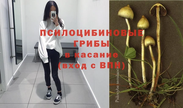 PSILOCYBIN Семикаракорск