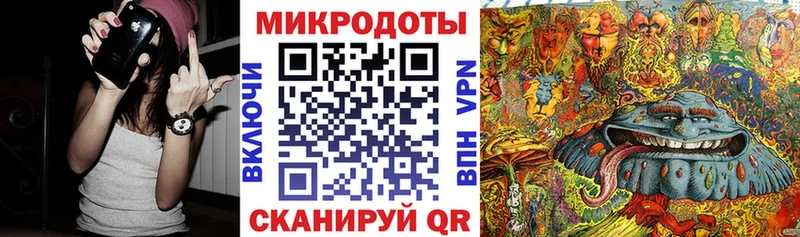 продажа наркотиков  Калтан  kraken рабочий сайт  Псилоцибиновые грибы Psilocybine cubensis 